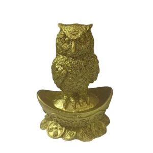 Feng Shui Owl Figurine is displayed in North-East or East zone for Wealth, Luck and Prosperity. It is a famous symbol of wealth in Hinduism.