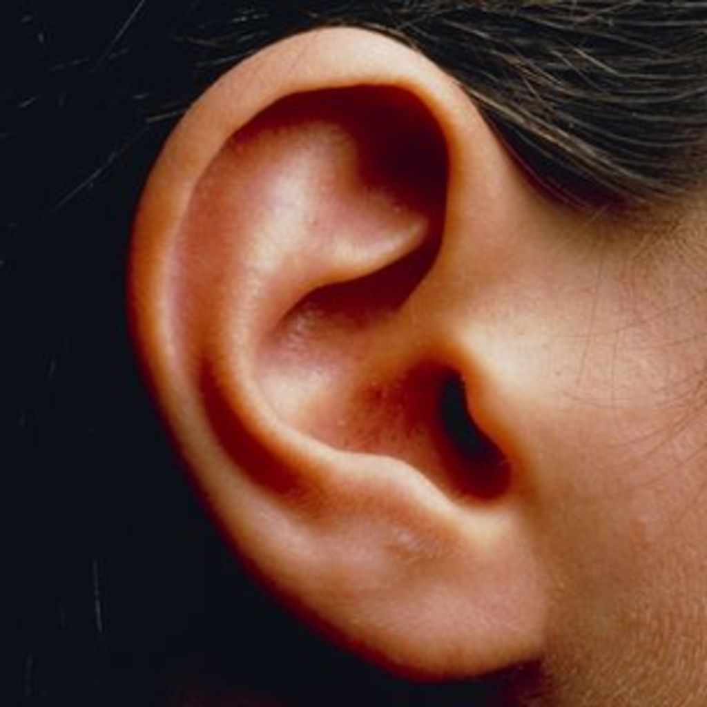 Which Types Of Ear you have?
