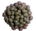Loose Lotus Flower Seeds