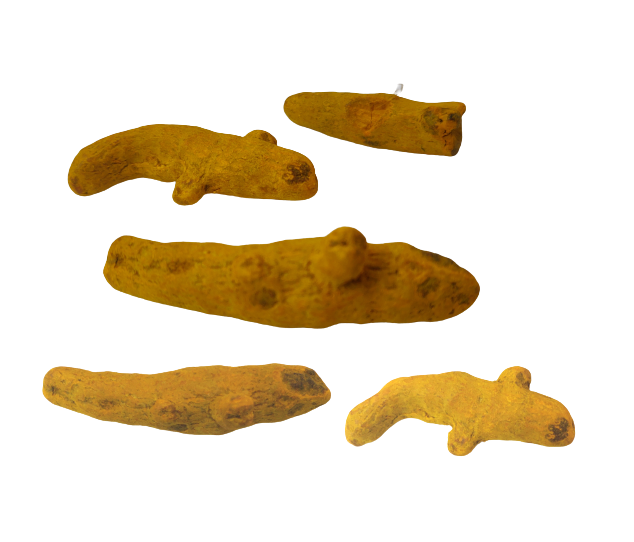 Natural Dried Yellow Turmeric sticks