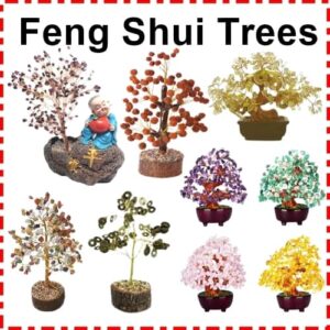 Buy Feng Shui Trees for Good Luck, Wealth and Prosperity
