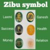 Zibu Symbol Stones Combo of 6 Stones