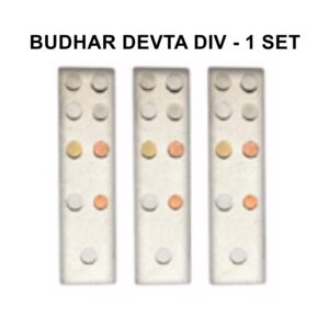 Bhudhar Devta DIV for Vastu Dosha Remedy represents the earth element and is used to stabilize and ground energies. It enhances stability and supports physical and financial security.