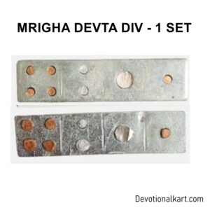 Mrigha Devta DIV for Vastu Dosha Remedy represents the element of water and aids in addressing issues related to fluidity and emotional balance. It supports adaptability and change.