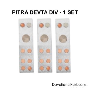 Pitra Devta DIV for Vastu Dosha Remedy is associated with ancestral blessings and guidance. It helps in connecting with ancestral energies and receiving their support.