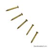 Peetal ki Keel / Brass Nails for Vastu and Astrology Remedies (Set of 5 Nails)
