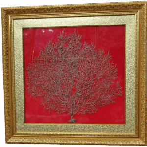 Original Indrajaal Plant with Frame - Big Size