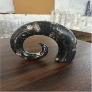 Orthoceras Fossil Sculpture (Size 10 to 12 inches Approx.)